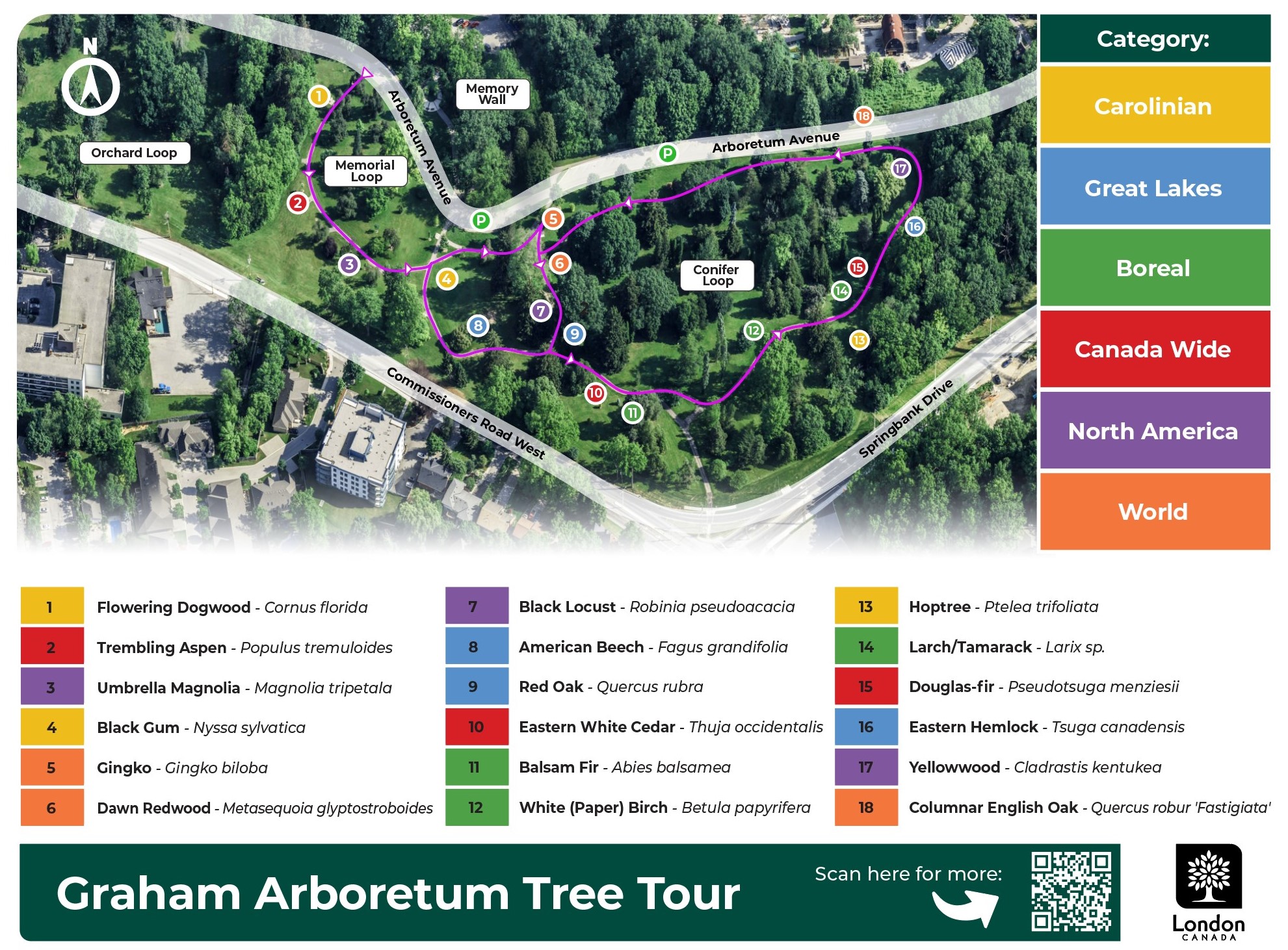 A map of the Graham Arboretum shows which pathways to walk to see all the trees.