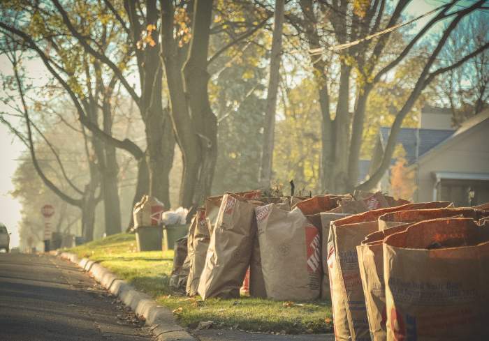 Leaf and yard waste collection